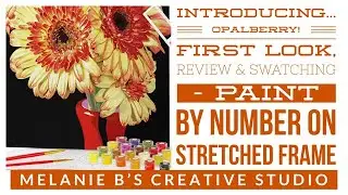 INTRODUCING OPALBERRY **New** Framed Stretched Canvas Paint By Numbers Company