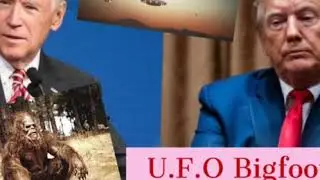 Election fraud ? Trump - Biden conspiracy theory - voter fraud ?