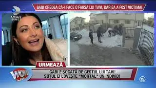 WOWBIZ - Tavi Clonda loveste un pusti! Gabriela Cristea, in lacrimi!