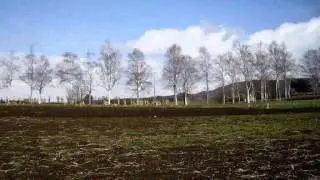 北海道の観光牧場 - ハイジ牧場の自然
