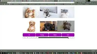 Select and Zoom Images in Captivate with JavaScript