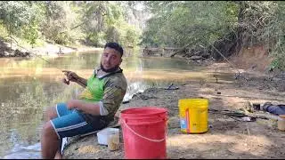 Pescaria de barranco Piau na rodadinha Rio São José dos Dourados, pescaria top e muito produtiva .🎣🍀