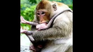 Why why mom do like this on baby