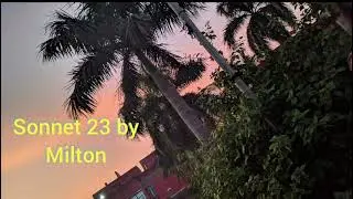 Sonnet 23 by Milton