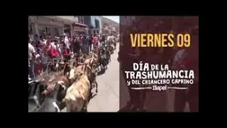 ECOLAGRO 20 2212