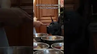 Raw Diet For Dogs - The Best Raw Dog Food On The Market