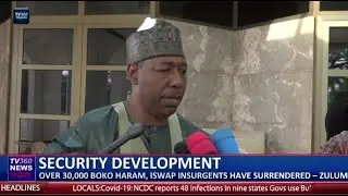Over 30,000 Boko Haram, ISWAP insurgents have surrendered, says Zulum