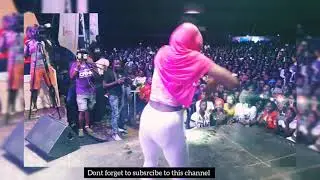 Kapa Cat - Purple Party Performance.