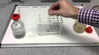 Testing for the sulfate ion