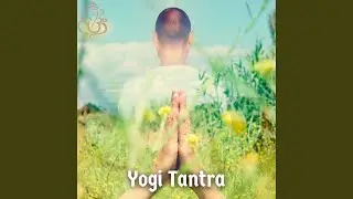 Chakra Alignment with Yogi Tantra