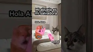 Mi abuela es mi salvadora #gatitoslindos #funnyvideo #storytime #historiasdegatos