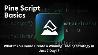 Introduction to Pine Script Indicators & Strategies: Basics Explained