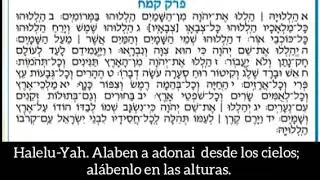 TEHILIM (SALMO 148 )