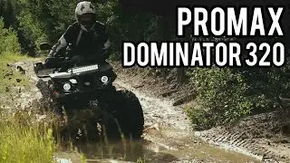 Злой квадроцикл на кардане PROMAX DOMINATOR 320