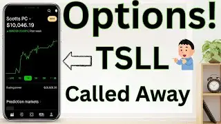 Колесо TSLL готово! Обновление информации о доходах от опционов за ноябрь на $519
