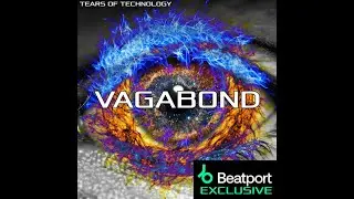 Tears of Technology - Vagabond (Neuro Breaks Mix)