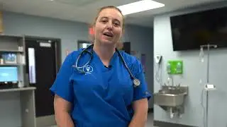 Forticept wound care products. Dr. Lisa Booth DVM (Hero Pet Animal Hospital)