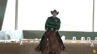 Baylor Equestrian: Highlights vs. TCU