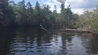 Hanging with Mother Nature on the East Bay River, Navarre