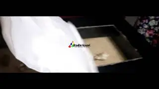 beanbag kendari produksi , sewa , custom dan jual beanbag produk lokal sulawesi tenggara