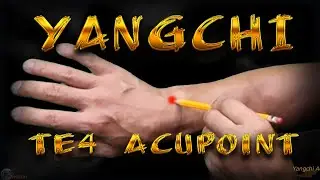 TE4 | Yangchi Acupoint | Yang Pool Acupoint | Triple Energizer Meridian | Acupressure VIKUDO