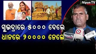 ସୁଭଦ୍ରାରେ 5000 ଦେଲେ ଧାନରେ 20000 ପାଇଲେ | Seshadev Nanda | NABA NIRMAN KRUSHAK SANGA | Nipun TV Odisha
