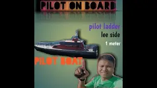 Seaman's Journal : TAIPEI PILOT ON BOARD