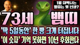 뱀띠 2026년 병오년 1월 1953년생 계사년생 73세 운세 이때를 놓치면? 천금 쏟아지고 부의 파도 타는 시기, 뱀띠 평생 대운 깨어나는 황금 타이밍 지금 확인하세요.