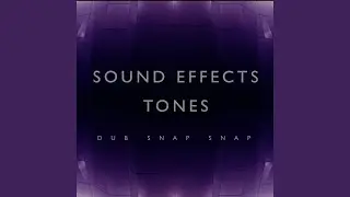 Shaker Snaps 2 Alert Tone