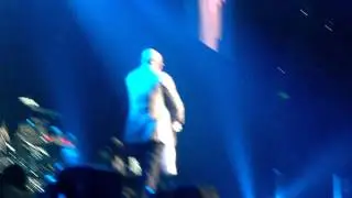 Pitbull Live