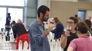 International Wine Challenge 2018