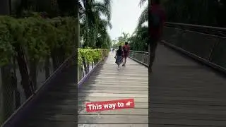 This way to Flower Dome, Cloud Forest, Heritage Garden, Supertree Grove, The Meadow