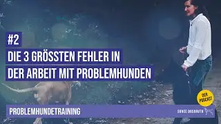 #2 Die 3 gr&ouml;&szlig;ten Fehler in der Arbeit mit Problemhunden