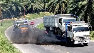Truck Jumps on Frog Hill's Hillside! ️It Becomes a Spectacle #viral #truck