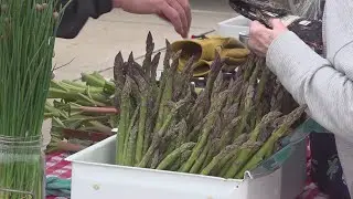 Why the QC Farmers Market found a new home in downtown Rock Island