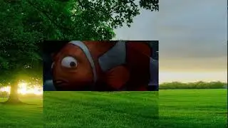 Finding Nemo: Part 9.