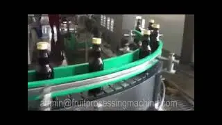 Wolfberry Juice Processing line