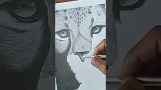Cheetah face drawing easy #youtubeshorts  #shorts