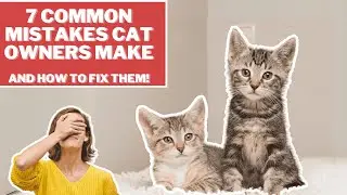 7 Rookie Mistakes New Cat Owners Make 😾: How to Avoid Them and Keep Your Cat Happy! #cat #cats