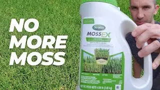 How to Get Rid of Moss in 3 EASY Steps!