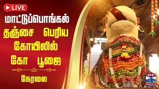 🔴LIVE : மாட்டுப்பொங்கல் - தஞ்சை பெரிய கோயிலில் கோ பூஜை | நேரலை காட்சிகள்
