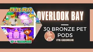 30 BRONZE PET PODS OVERLOOK BAY ⎪ItsGeorgie