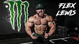BAD WOLF 🐺 - Flex Lewis