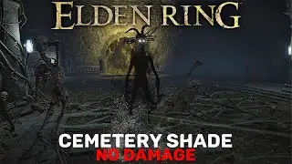 Cemetery Shade Boss Fight [NO DAMAGE / MELEE] - ELDEN RING