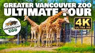 Greater Vancouver Zoo, Canada COMPLETE TOUR - 4K Virtual Walking Tour - Explore