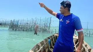 PESCA DE CURRAL NA PRAIA DE BITUPITÁ VEJAM SÓ A QUALIDADE DE PEIXES QUE PEGAMOS HOJE NA PESCARIA