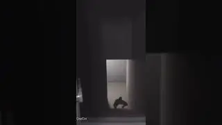 Video qui fait peur