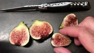 french fig farm: Sultane