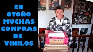 &Uacute;ltimos meses del a&ntilde;o. Compras de vinilos