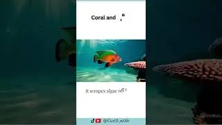 This Fish Poops Sand & Sleeps in Slime! 🐠 #Shorts